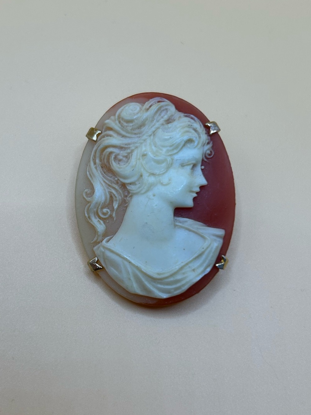 Classic White Cameo Shell Brooch on Coral Background